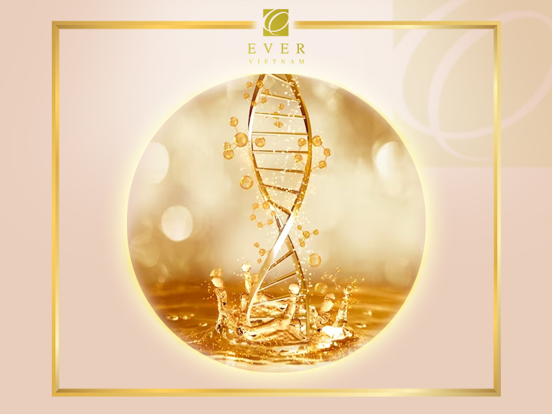 Lieu Phap Te Bao Goc